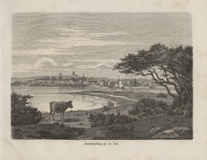 未知の著者による本Nordiska taflorから取られ、Albert Bonnierによって発行されたイラスト（1870を参照）